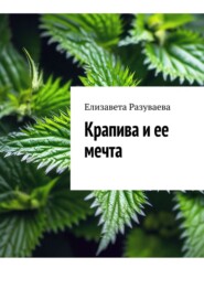 бесплатно читать книгу Крапива и ее мечта автора Елизавета Разуваева