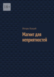 бесплатно читать книгу Магнит для неприятностей автора Игорь Кацай