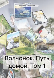 бесплатно читать книгу Волчонок. Путь домой. Том 1 автора Родогор Хоенхайм