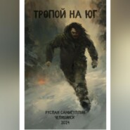 бесплатно читать книгу Тропой на юг автора Руслан Самигуллин