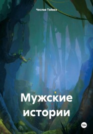 бесплатно читать книгу Мужские истории автора Чеслав Тэйваз