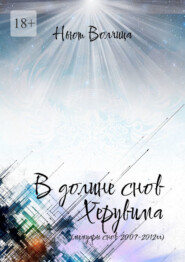 бесплатно читать книгу В долине снов Херувима. Мемуары снов 2007—2012 гг. автора Ньют Волчица