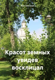 бесплатно читать книгу Красот земных увидев восклицал автора Олег Школьник