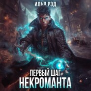 бесплатно читать книгу Первый шаг Некроманта. Том 2 автора Илья Рэд