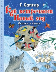 бесплатно читать книгу Как встречают Новый год. Сказки и стихи автора Генрих Сапгир