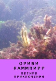 бесплатно читать книгу Летние приключения автора Ориби Каммпирр