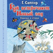 бесплатно читать книгу Как встречают Новый год. Сказки и стихи автора Генрих Сапгир