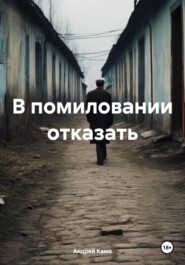 бесплатно читать книгу В помиловании отказать автора Андрей Камо