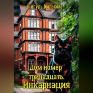 бесплатно читать книгу Дом номер тринадцать. Инкарнация автора Айгуль Малахова