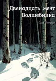 бесплатно читать книгу Двенадцать мечт Волшебника автора Ольга Непочатых