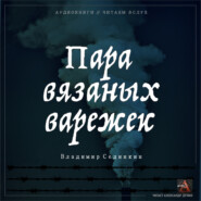 бесплатно читать книгу Пара вязаных варежек автора Владимир Сединкин