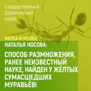 бесплатно читать книгу Способ размножения, ранее неизвестный науке, найден у желтых сумасшедших муравьев! автора Наталья Носова