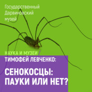 бесплатно читать книгу Сенокосцы: пауки или нет? автора Тимофей Левченко