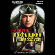 бесплатно читать книгу «Ахтунг! Покрышкин в воздухе!». «Сталинский сокол» № 1 автора Евгений Полищук