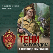 бесплатно читать книгу Тени за городом автора Александр Тамоников