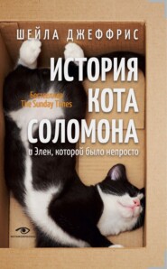 бесплатно читать книгу История кота Соломона и Элен, которой было непросто автора Шейла Джеффрис