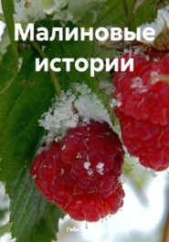 бесплатно читать книгу Малиновые истории автора Габи Бользен