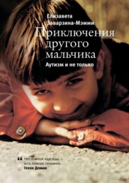 бесплатно читать книгу Приключения другого мальчика. Аутизм и не только автора Елизавета Заварзина-Мэмми