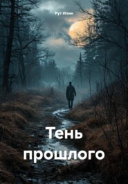 бесплатно читать книгу Тень прошлого автора Рут Илин