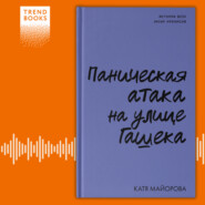 бесплатно читать книгу Паническая атака на улице Гашека автора Катя Майорова