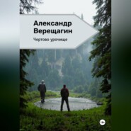 бесплатно читать книгу Чертово урочище автора Александр Верещагин