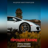 бесплатно читать книгу Процветание. Секреты успешных предпринимателей автора Андрей Миллиардов