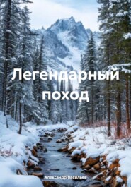 бесплатно читать книгу Легендарный поход автора Александр Васильев