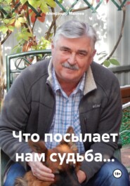 бесплатно читать книгу Что посылает нам судьба… автора Александр Махнев