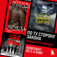 бесплатно читать книгу По ту сторону закона. Кланы и группировки автора Ацуси Мидзогути