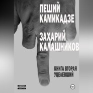 бесплатно читать книгу Пеший камикадзе. Книга вторая. Уцелевший автора Захарий Калашников