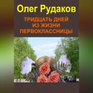 бесплатно читать книгу Тридцать дней из жизни первоклассницы автора Олег Рудаков