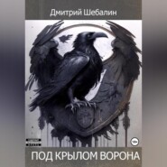 бесплатно читать книгу Под крылом ворона автора Дмитрий Шебалин