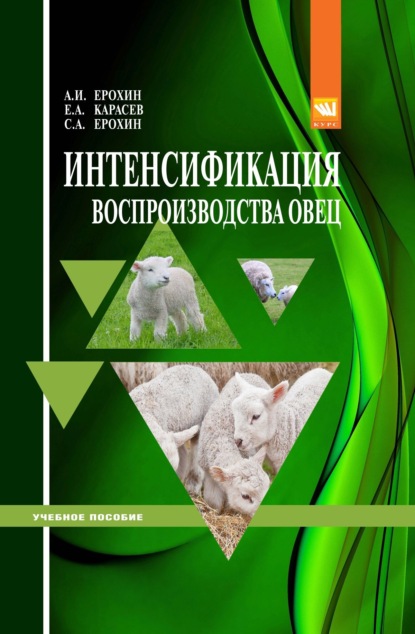 Интенсификация воспроизводства овец