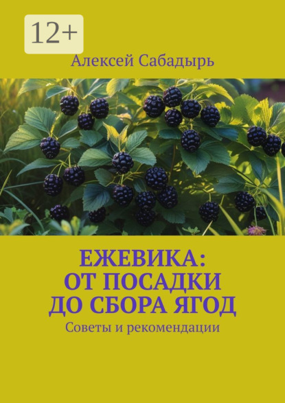 Ежевика: От посадки до сбора ягод. Советы и рекомендации
