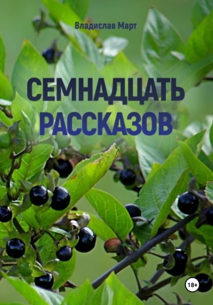 Семнадцать рассказов