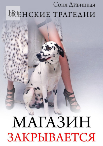 Магазин закрывается. Роман