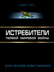 бесплатно читать книгу Истребители Первой Мировой. Более 100 типов боевых самолетов автора Андрей Харук