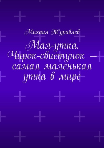 Мал-утка. Чирок-свистунок – самая маленькая утка в мире