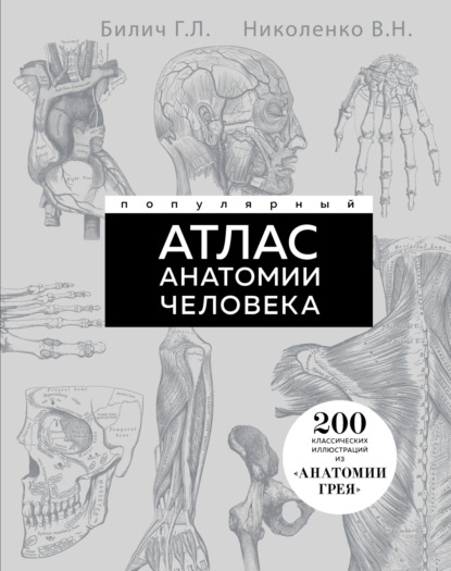 Популярный атлас анатомии человека. 200 классических иллюстраций из «Анатомии Грея»