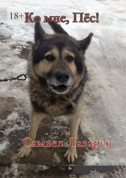 Ко мне, Пёс!