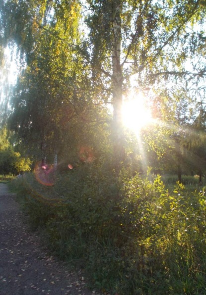 Наши пираты. Резкое изменение образа жизни