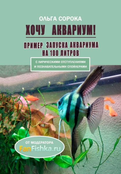 Хочу аквариум! Пример запуска аквариума на 100 литров