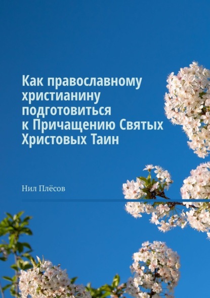Как православному христианину подготовиться к Причащению Святых Христовых Таин