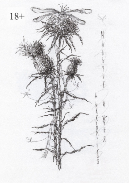 Мальчик и фея