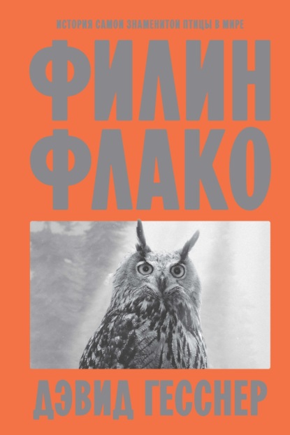 Филин Флако. История самой знаменитой птицы в мире