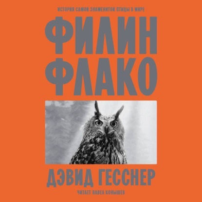 Филин Флако. История самой знаменитой птицы в мире