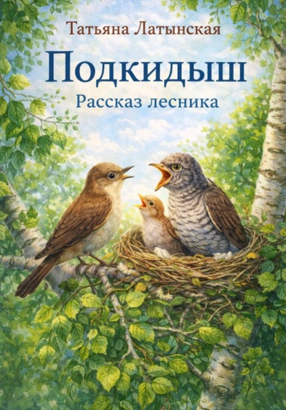 Подкидыш. Рассказ лесника