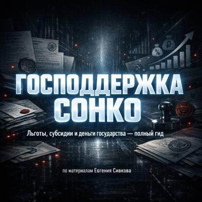 СОНКО-2026: как получить поддержку и не попасть под проверку