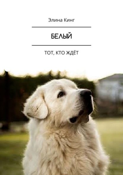 Белый. Тот, кто ждёт