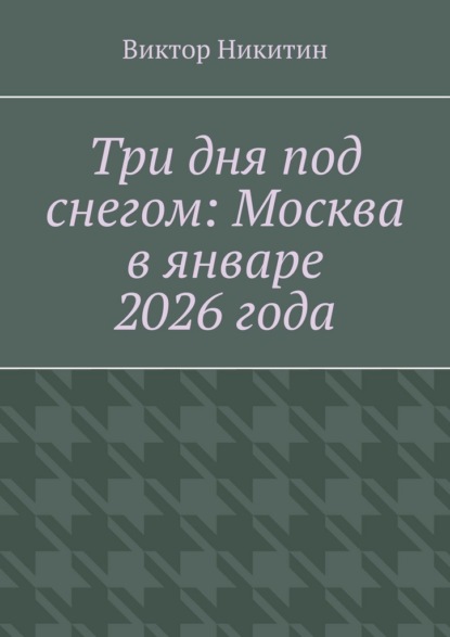 Три дня под снегом: Москва в январе 2026 года
